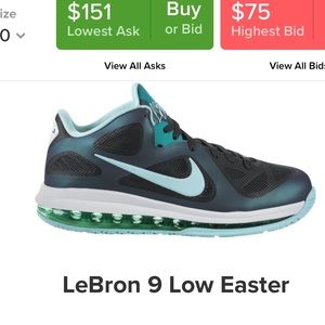 Lebron 9 Low Easter